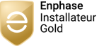 badge-gold 2